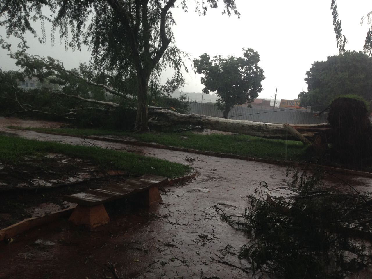 Chuva forte com granizo em Ourinhos causa alagamentos, queda de árvores e traz transtornos a população