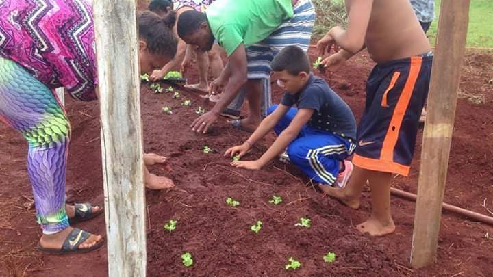 Terreno baldio vira horta comunitária em Ourinhos