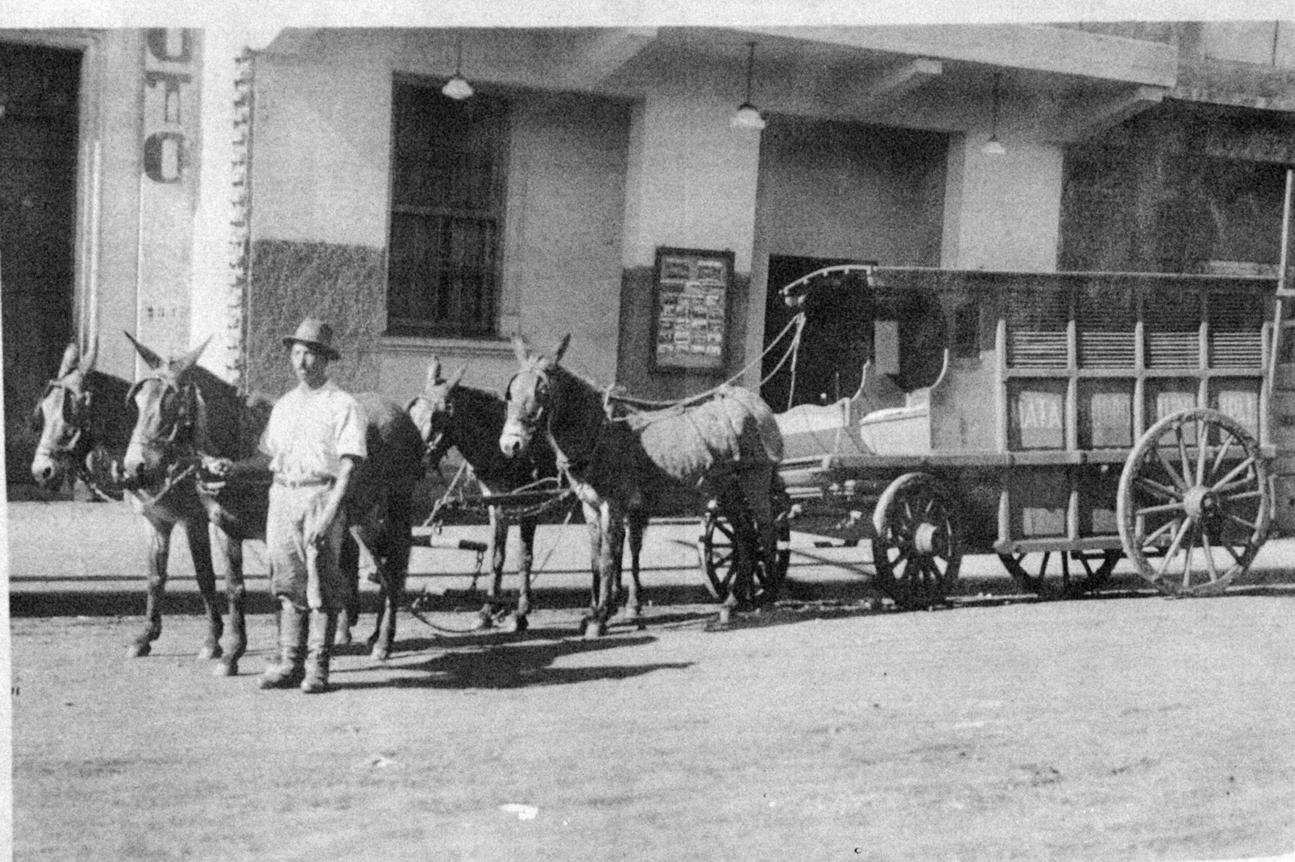 Memória – O “delivery” dos padeiros, leiteiros, verdureiros e bucheiros