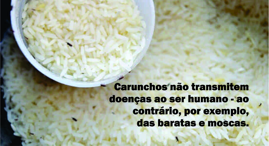 O caso do arroz com caruncho na merenda