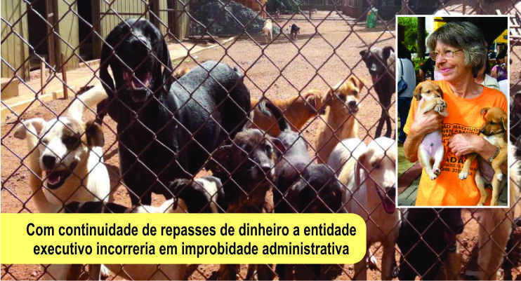 Com associação em situação de calamidade prefeitura assume ADAO
