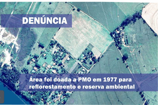 Área pública da Prefeitura é utilizada para plantio com fins comerciais privados