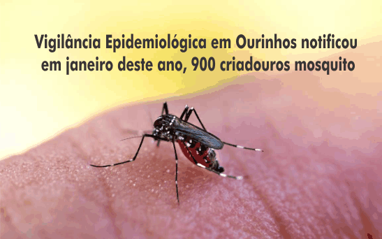 Ribeirão do Sul vive epidemia de dengue, Ourinhos corre risco de surto alerta Sucen