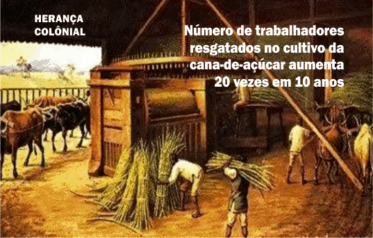 Cultivo da cana tem maior número de trabalhadores em situação análoga à escravidão em 2022