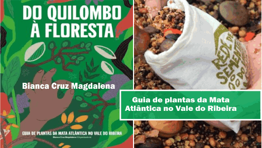 Livro de pesquisadora ourinhense  lista sementes de plantas da Mata Atlântica coletadas por Quilombolas