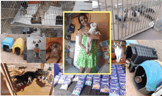 Mariane conta sua história de amor, carinho e abrigo aos animais abandonados