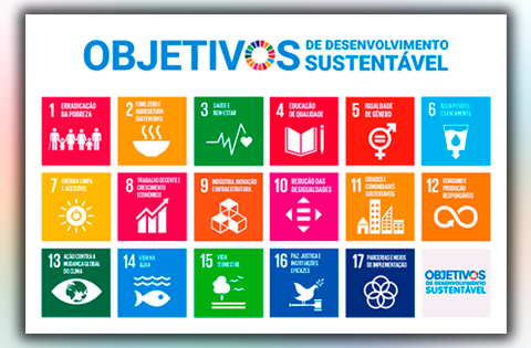 Artigo: Você já ouviu falar da agenda 2030? – Por Nilto Tatto