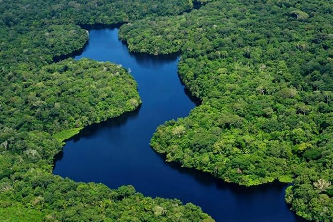 União Europeia anuncia 20 milhões de euros ao Fundo Amazônia