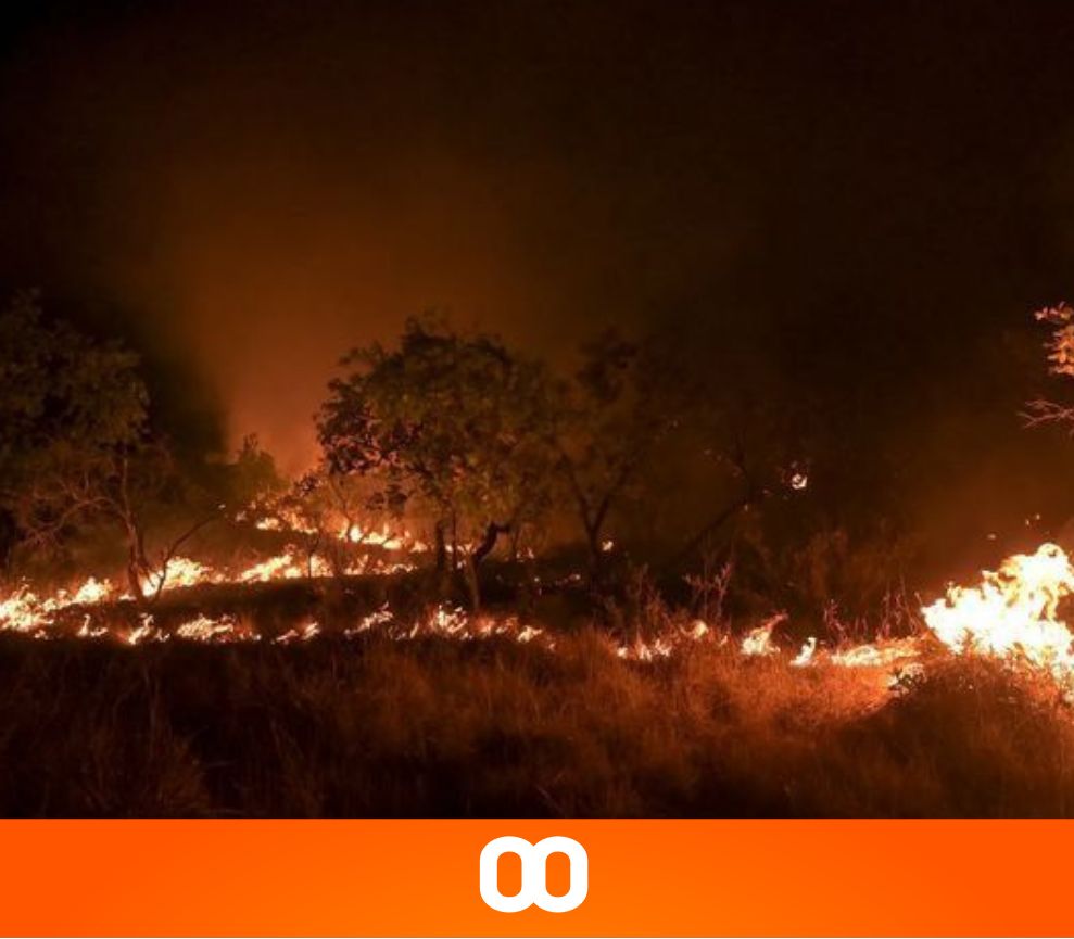 Defesa Civil Alerta: Risco Elevado de Incêndio Florestal na Região