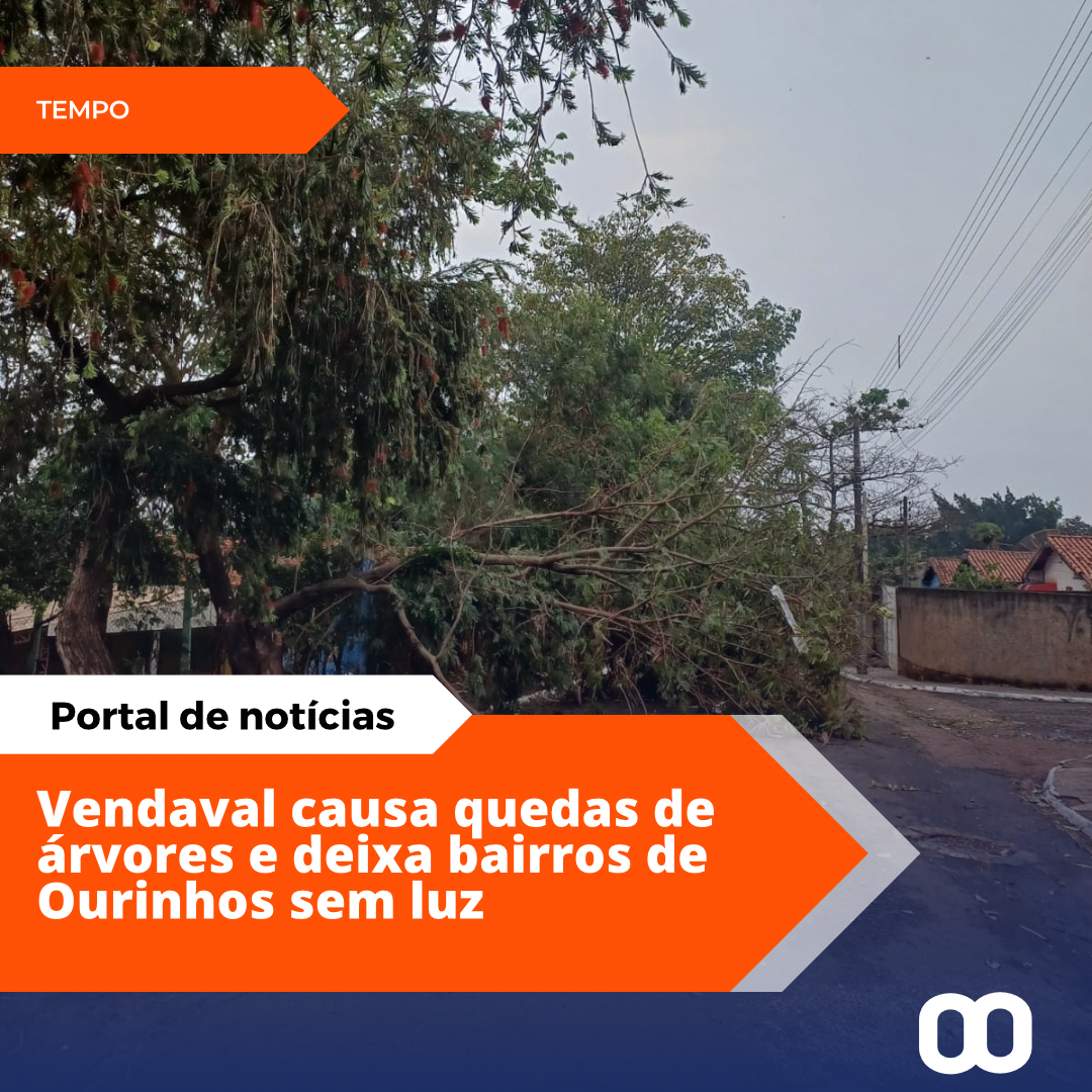 Vendaval causa estragos em Ourinhos e deixa moradores sem energia.