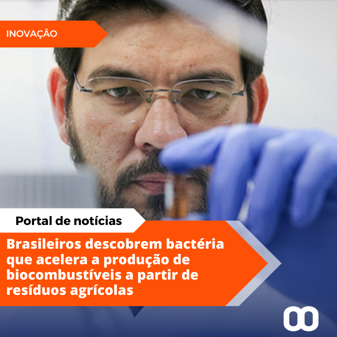 Brasileiros descobrem bactéria que aumenta produção de biocombustíveis