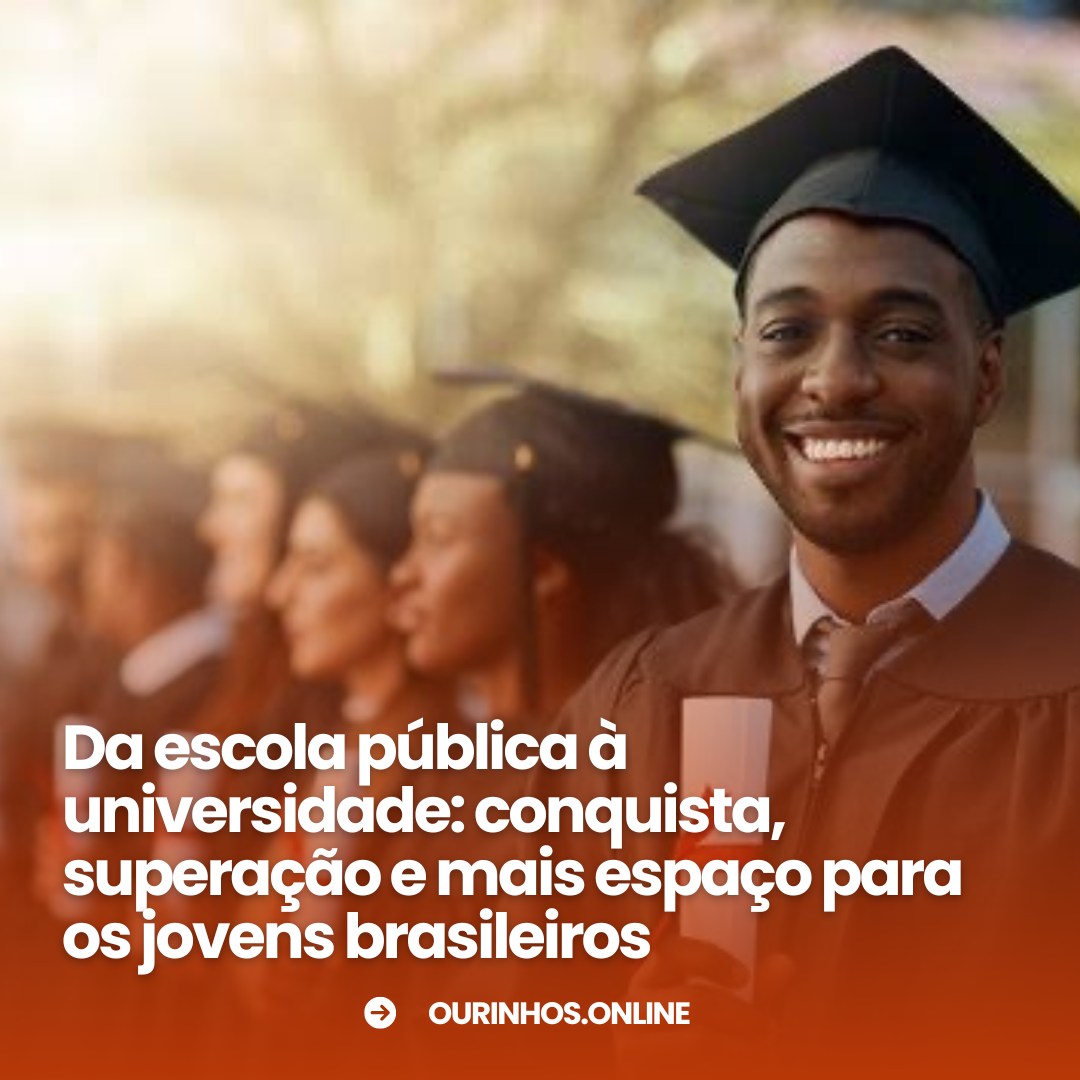 PNAD Educação: mais estudantes de escolas públicas no ensino superior