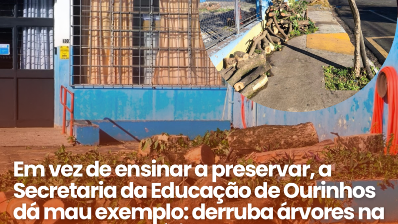 Contradição da educação ambiental em Ourinhos: um chamado à reflexão