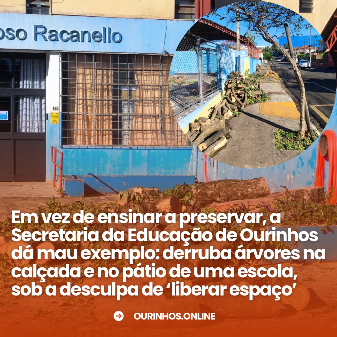 Contradição da educação ambiental em Ourinhos: um chamado à reflexão