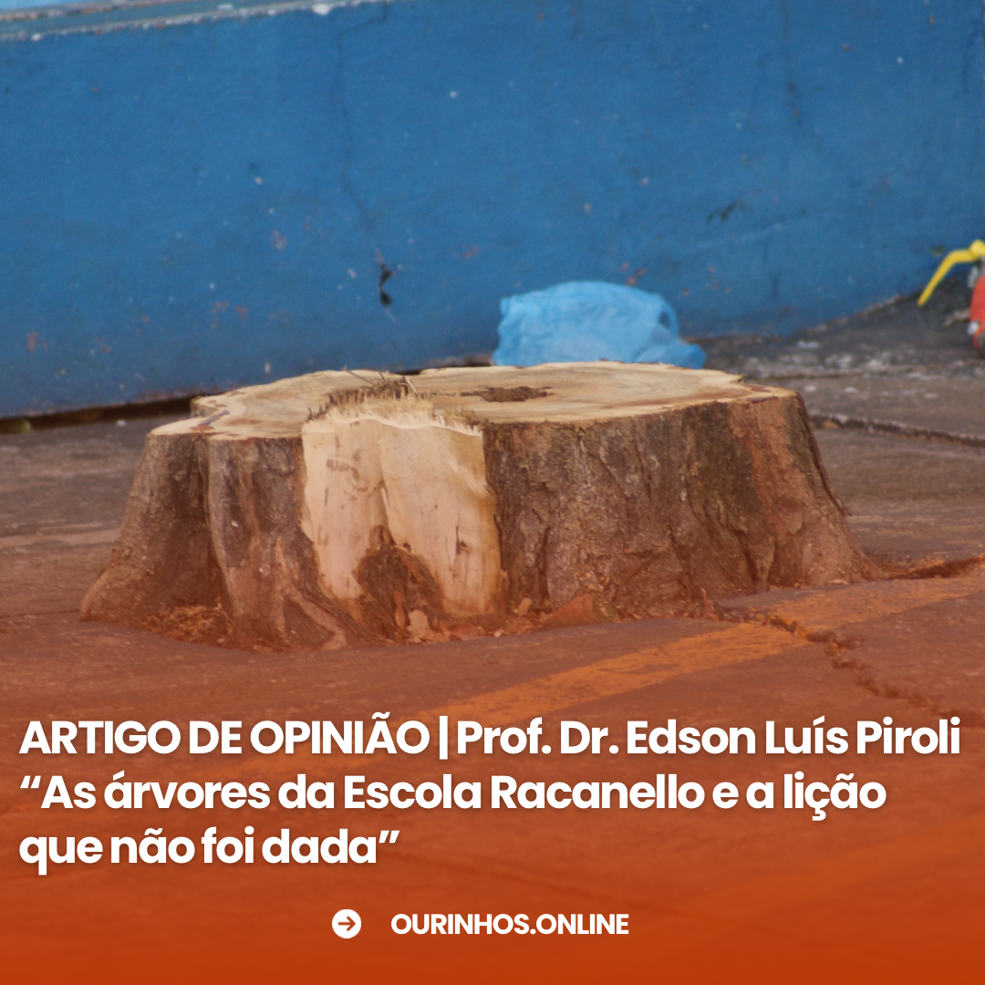 AS ÁRVORES DA ESCOLA RACANELLO