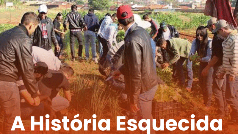 A História Esquecida das Cotas no Brasil
