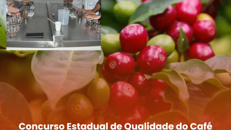 Concurso Estadual de Qualidade do Café de São Paulo tem recorde de inscritos e inicia etapa de provas