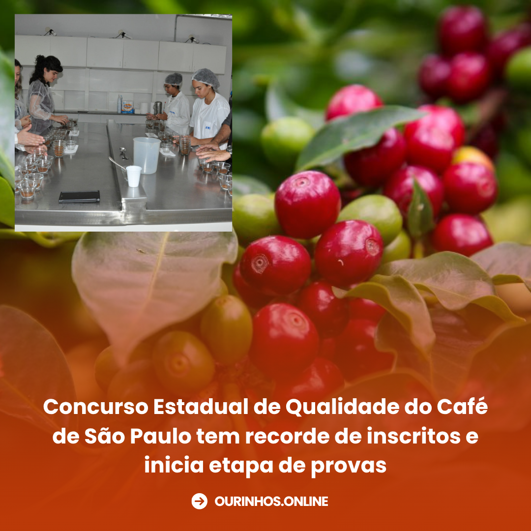 Concurso Estadual de Qualidade do Café de São Paulo tem recorde de inscritos e inicia etapa de provas